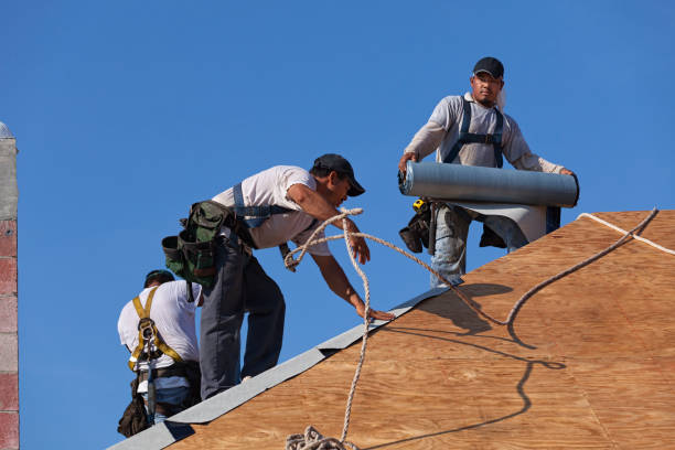 Professional Roofing Contractor in Olathe, CO